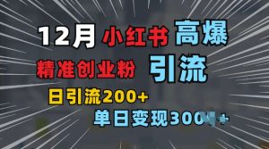 小红书一张图片“引爆”创业粉,单日+200+精准创业粉 可筛选付费意识创业粉【揭秘】-最全项目网