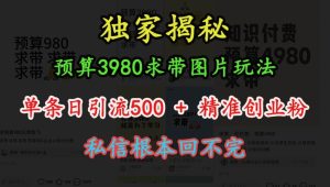 预算3980求带 图片玩法，单条日引流500+精准创业粉，私信根本回不完-最全项目网