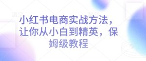 小红书电商实战方法,让你从小白到精英,保姆级教程-最全项目网