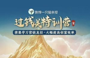 剽悍一只猫-过钱关特训营，学习营销真经 大幅度提高创富效率-最全项目网