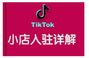 TikTok跨境小店运营全攻略,帮助你独立运营TK跨境小店的能力,实现销量增长-最全项目网