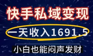 一天收入1691.5，快手私域变现，小白也能闷声发财-最全项目网