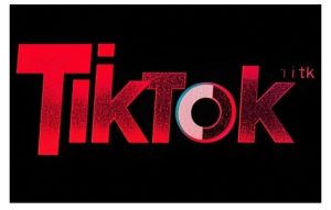 TikTok ads投流秘籍，涵盖tiktok整体投放思路，教你搭建测试计划-最全项目网