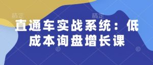 直通车实战系统:低成本询盘增长课,让个人通过技能实现升职加薪,让企业低成本获客,订单源源不断-最全项目网