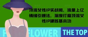 顶流女性IP实战班,流量上亿情绪引爆法,深度打磨顶流女性IP硬核基本功-最全项目网