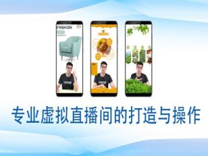个人虚拟直播间的搭建与操作，专业虚拟直播间的打造与操作-最全项目网