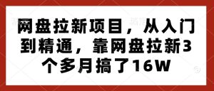 网盘拉新项目,从入门到精通,靠网盘拉新3个多月搞了16W-最全项目网