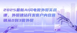 2025最新AI闪电做外贸实战课,外贸建站开发客户内容营销从0到3做外贸-最全项目网