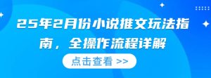 25年2月份小说推文玩法指南,全操作流程详解-最全项目网