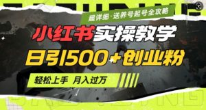 2月小红书最新日引500+创业粉实操教学【超详细】小白轻松上手，月入1W+，附小红书养号起号SOP-最全项目网
