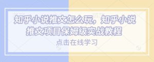 知乎小说推文怎么玩,知乎小说推文项目保姆级实战教程-最全项目网