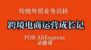 跨境电商速卖通运营课,运营方法论+后台实操,逻辑清晰-最全项目网