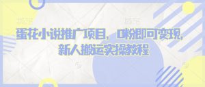 蛋花小说推文项目,0粉即可变现,新人搬运实操教程-最全项目网