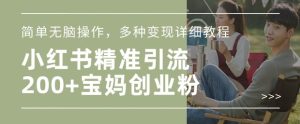 小红书混剪日引200+宝妈创业粉,简单无脑操作,多种变现详细教程-最全项目网