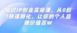 知识IP创业实操课，从0到1快速孵化，让你的个人品牌价值百W-最全项目网