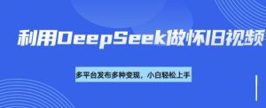 利用DeepSeek做怀旧视频,流量号多渠道变现能力强-最全项目网