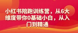 小红书陪跑训练营,从6大维度带你0基础小白,从入门到精通-最全项目网