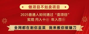 必看，做项目不如卖项目，2025普通人如何通过“卖项目”实现月入十个，年入百个-最全项目网