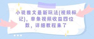 小说推文最新玩法(视频标记)，单条视频收益四位数，详细教程来了-最全项目网