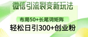 微信引流裂变新玩法:布局50+长尾词矩阵,轻松日引300+创业粉-最全项目网