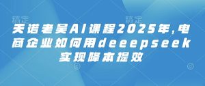 天诺老吴AI课程2025年,电商企业如何用deeepseek实现降本提效-最全项目网