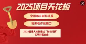 2025项目天花板普通人如何通过知识付费,实现财F自由【揭秘】-最全项目网