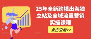 25年全新跨境出海独立站及全域流量营销实操课程，跨境电商独立站TIKTOK全域营销普货特货玩法大全-最全项目网
