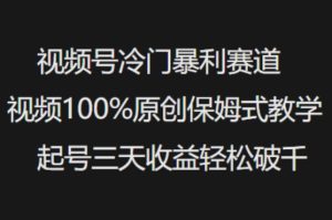 视频号冷门暴利赛道视频100%原创保姆式教学起号三天收益轻松破千-最全项目网