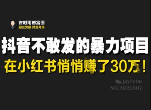 抖音不敢发的暴利项目,在小红书悄悄挣了30W-最全项目网