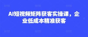 AI短视频矩阵获客实操课,企业低成本精准获客-最全项目网