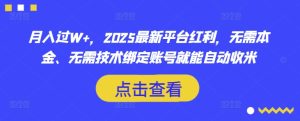 月入过W+,2025最新平台红利,无需本金、无需技术绑定账号就能自动收米-最全项目网