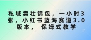 私域卖壮锦包,一小时3张,小红书蓝海赛道3.0版本, 保姆式教学-最全项目网