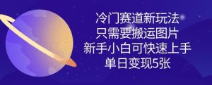 冷门赛道新玩法，只需要搬运图片，新手小白可快速上手，单日变现多张-最全项目网