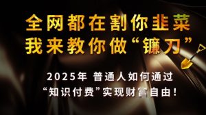 全网都在割你韭菜,我来教你做镰刀,2025普通人如何通过知识付费,实现财F自由【揭秘】-最全项目网