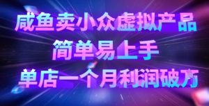 咸鱼卖小众虚拟产品,简单易上手,单店一个月利润破W-最全项目网