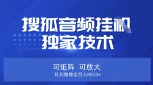 【搜狐音频挂G】独家技术，可矩阵可放大，红利期稳定月入8k【揭秘】-最全项目网
