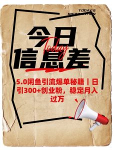 5.0闲鱼引流爆单秘籍，日引300+创业粉，稳定月入过W-最全项目网