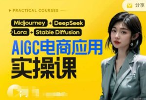AI电商应用实操课(加更DeepSeek)保姆级喂饭教程,从0-1用AI做电商-最全项目网