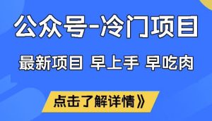 公众号冷门赛道,早上手早吃肉,单月轻松稳定变现1W【揭秘】-最全项目网
