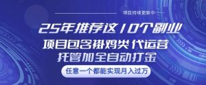 25年推荐这10个副业项目包含褂鸡类、代运营托管类、全自动打金类【揭秘】-最全项目网