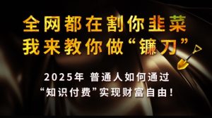 全网都在割你韭菜,我来教你做镰刀,2025普通人如何通过知识付费,实现财F自由【揭秘】-最全项目网