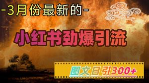 小红书超劲爆引流手段，图文日引300+轻松变现1W-最全项目网