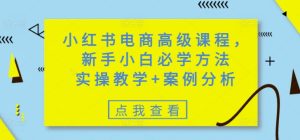 小红书电商高级课程，新手小白必学方法，实操教学+案例分析-最全项目网