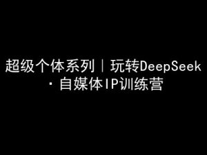 超级个体系列，玩转DeepSeek·自媒体IP训练营，deepseek教程-最全项目网