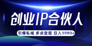 云帆·创业ip合伙人打造3.0,从0到1教你做网创,实现月入过W-最全项目网