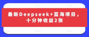 最新Deepseek+蓝海项目,十分钟收益2张-最全项目网