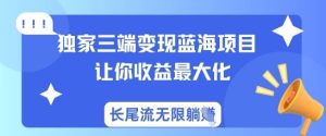 独家三端变现蓝海项目,让你收益最大化,长尾流无限躺挣-最全项目网