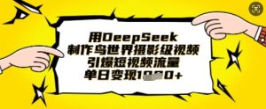 用DeepSeek制作鸟世界摄影级视频,引爆短视频流量,单日变现1k-最全项目网