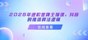 2025年进阶金牌主播课，抖音的推流算法逻辑-最全项目网