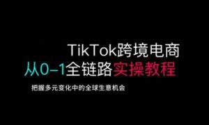 TikTok跨境电商从0-1全链路全方位实操教程,把握多元变化中的全球生意机会-最全项目网